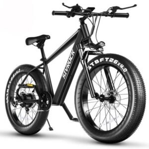 Fat Tyre Electric Bike 21 Speed 9 Gears 48v 1000w Bicycle Lithium Battery Electric Mountain Bicycle 26" * 4.0"